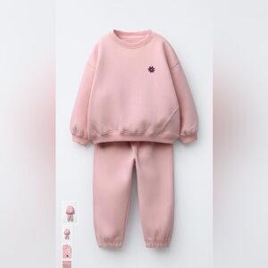 Zara Soft Pink Knit Top